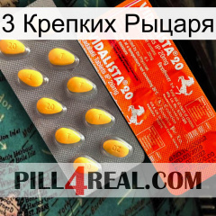 3 Крепких Рыцаря new01